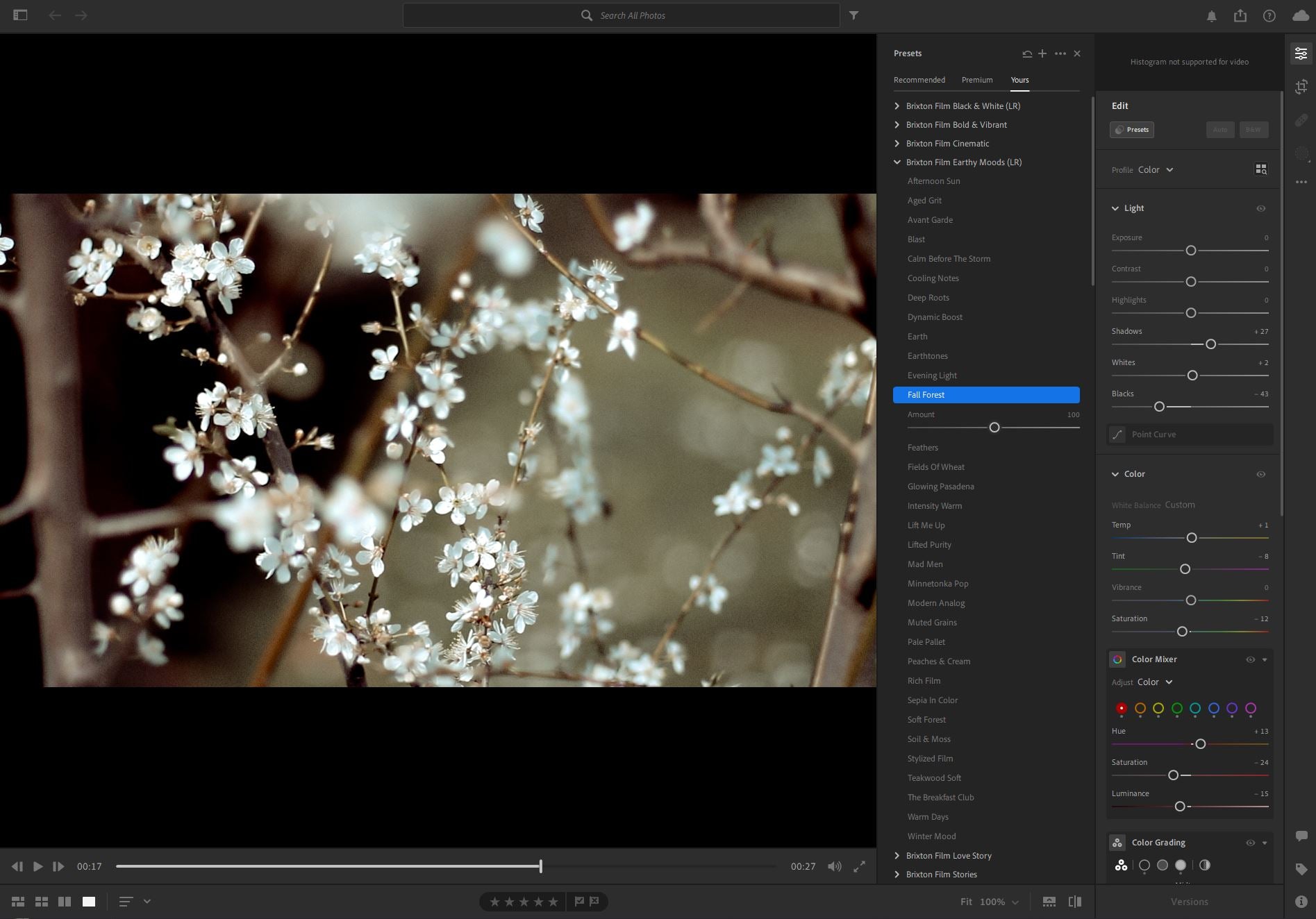 New to Lightroom: Video Editing & Preset Amount