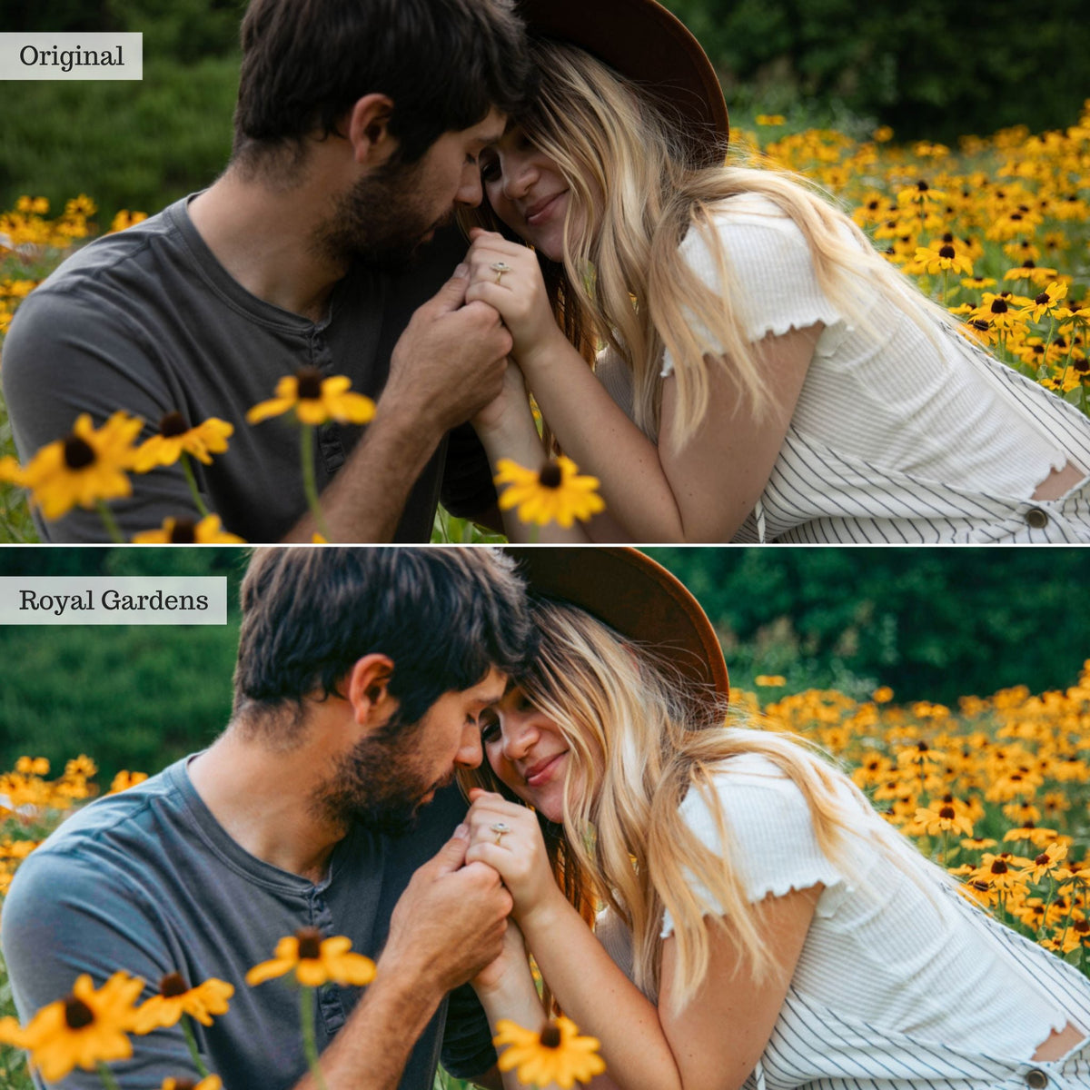 Royal Gardens - Single Color Palette Lightroom Presets & AI Tools