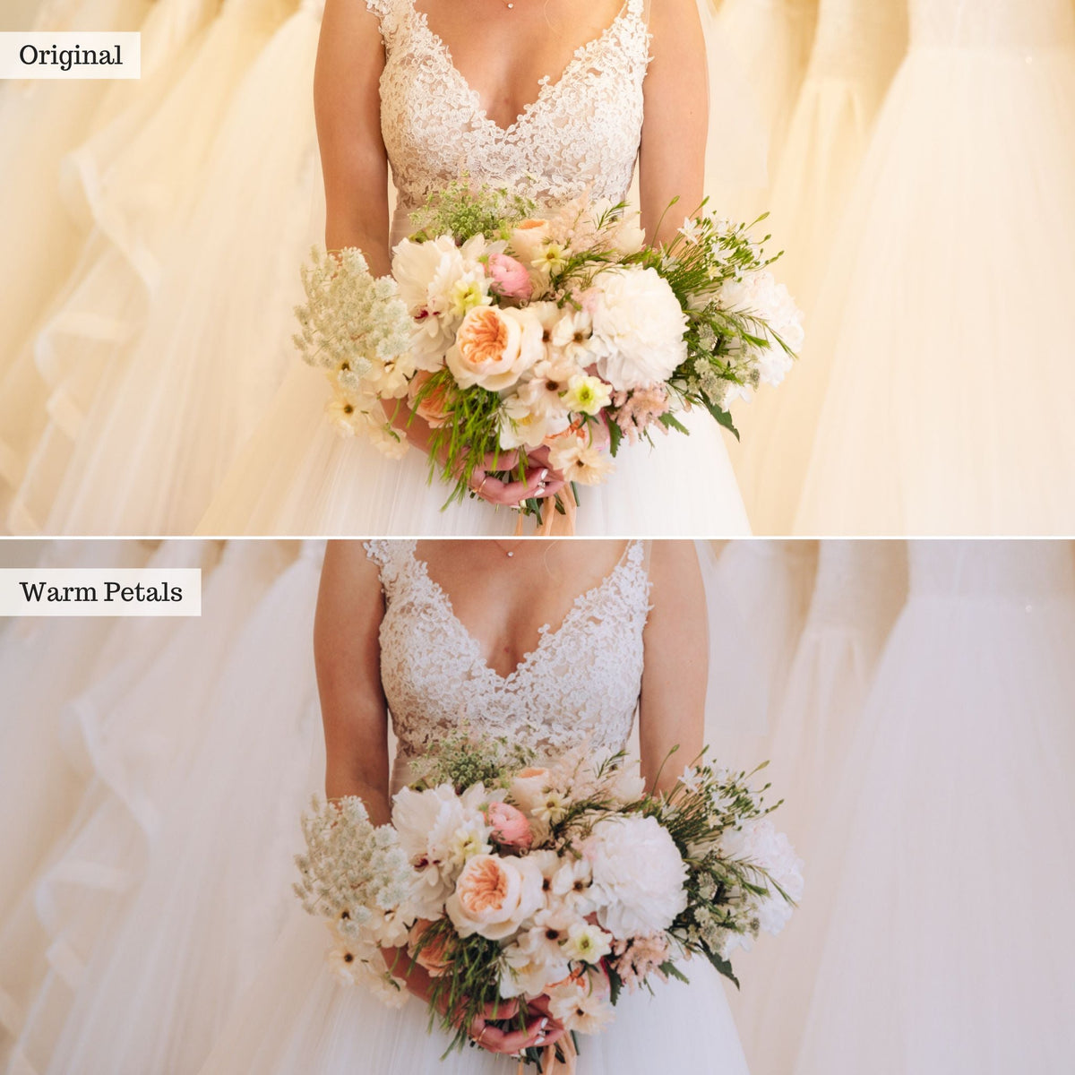 Warm Petals - Single Color Palette Lightroom Presets & AI Tools