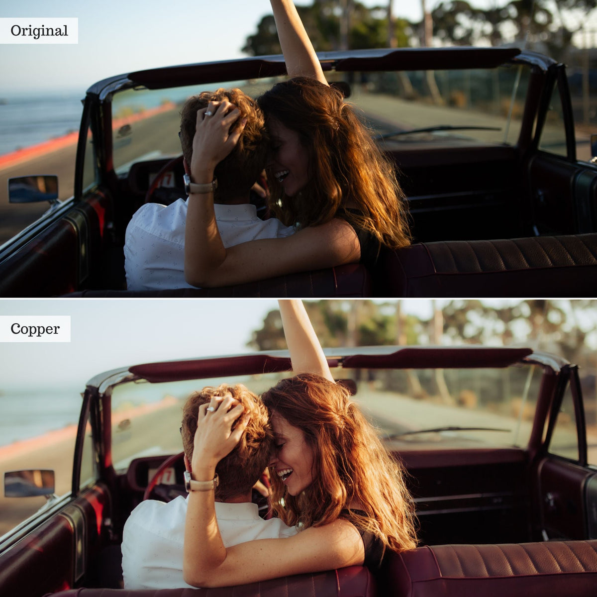 Copper - Single Color Palette Lightroom Presets & AI Tools