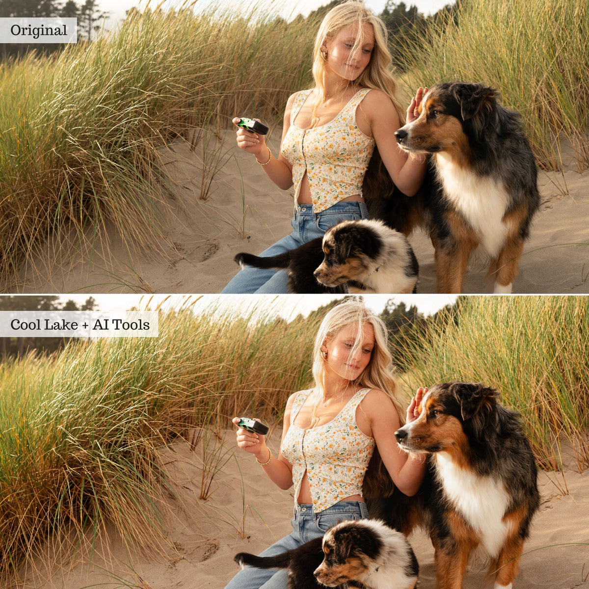 2025 Everything, Entire Store Lightroom Preset Bundle (108 Collections!)