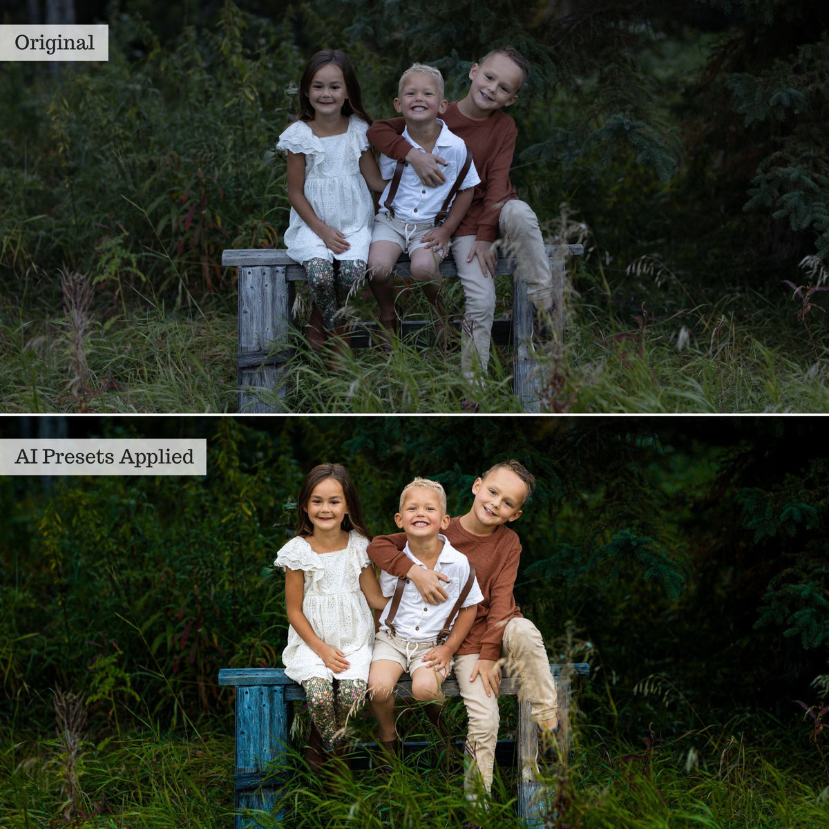 Luxe Portrait AI Adaptive Retouch Toolkit Lightroom Presets – Desktop & Mobile