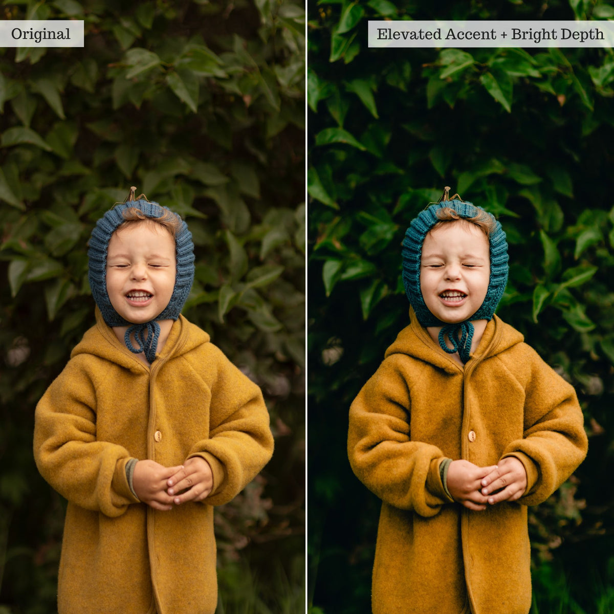 Luxe Pure Color Lightroom Presets & Profiles – Desktop & Mobile