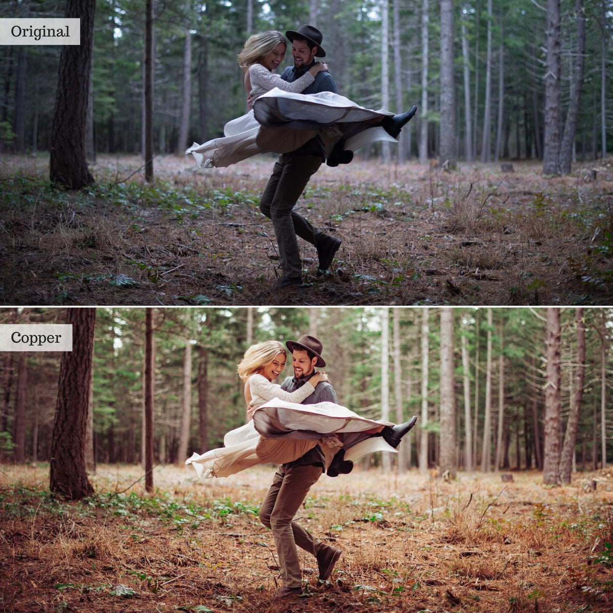 Copper - Single Color Palette Lightroom Presets & AI Tools