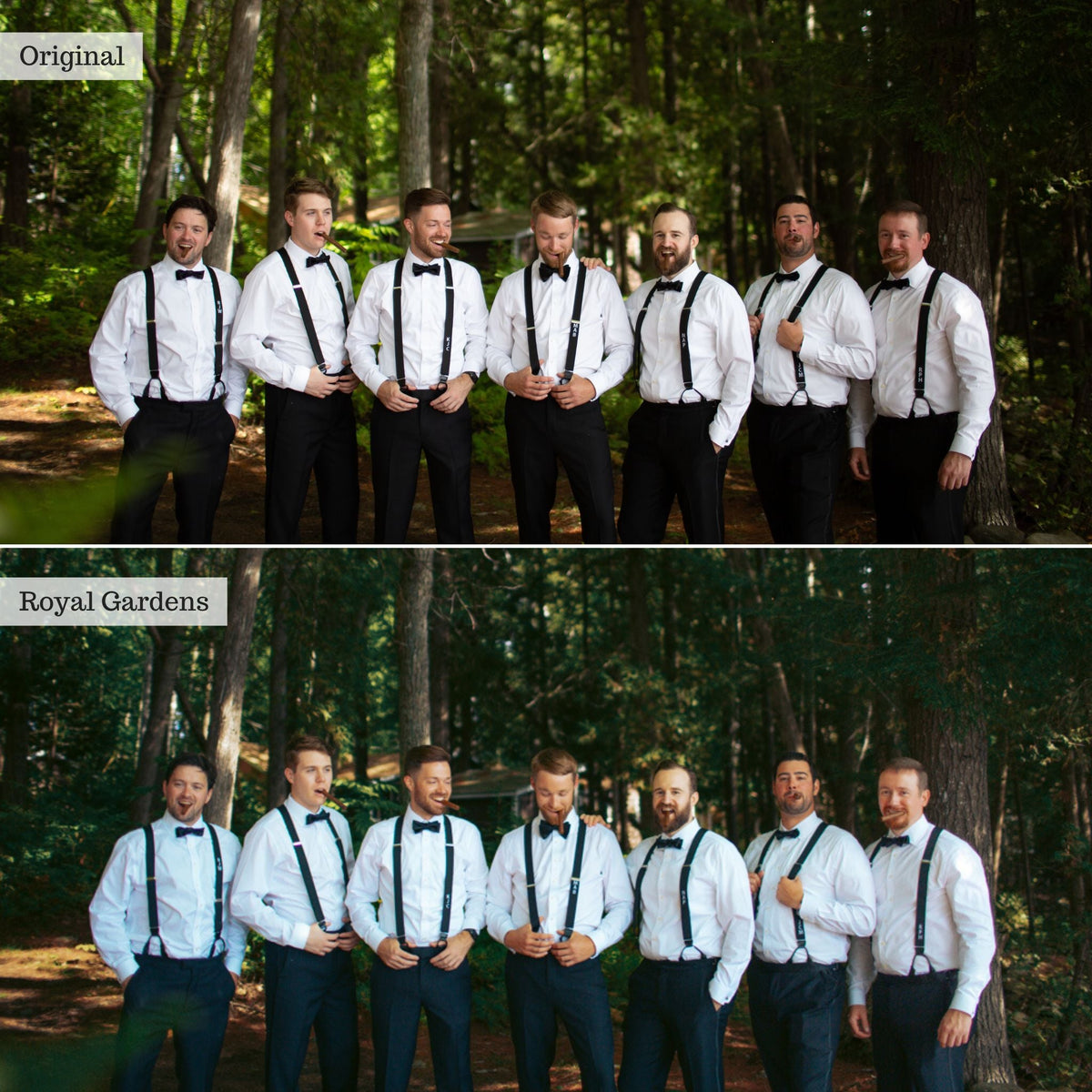 Royal Gardens - Single Color Palette Lightroom Presets & AI Tools