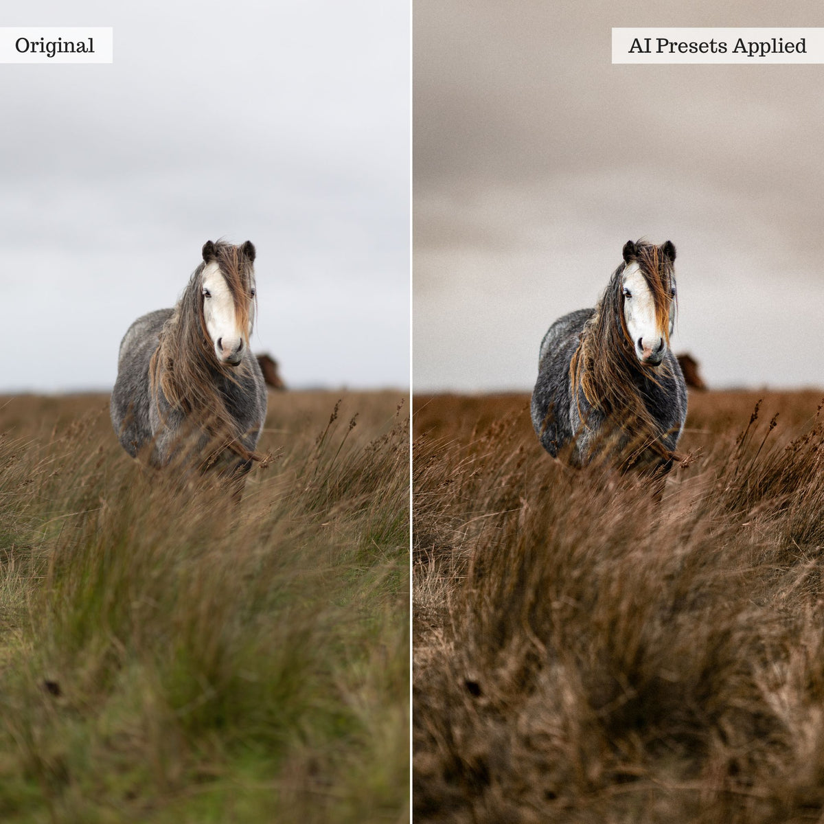 Landscape, Wildlife & Animals AI Adaptive Retouch Toolkit Lightroom Presets – Desktop & Mobile