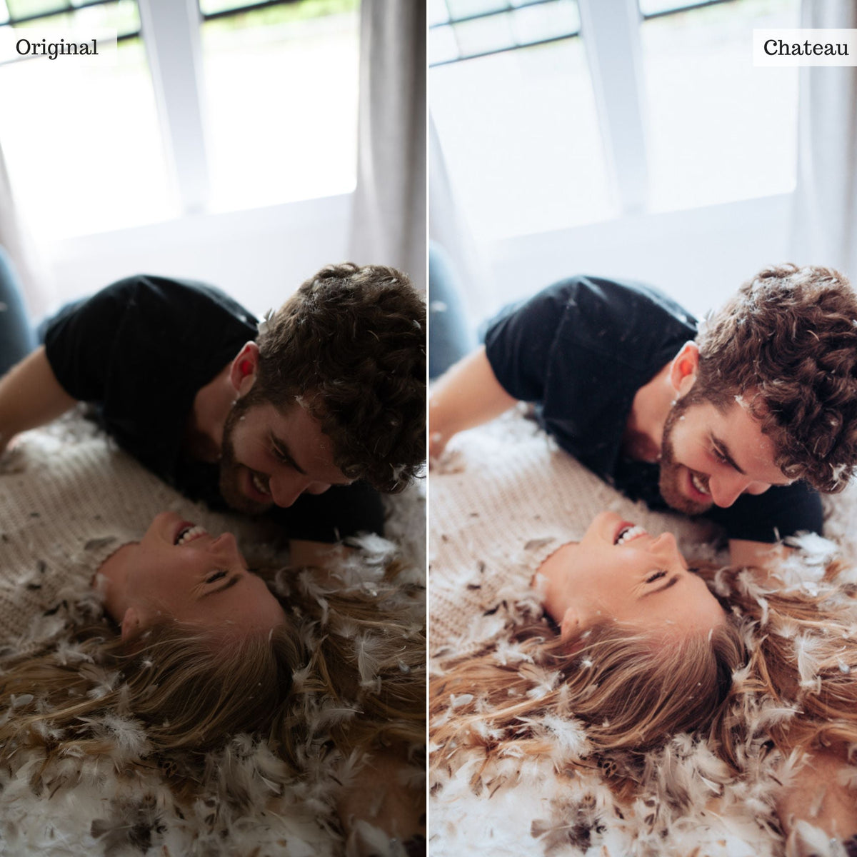 Chateau - Single Color Palette Lightroom Presets & AI Tools