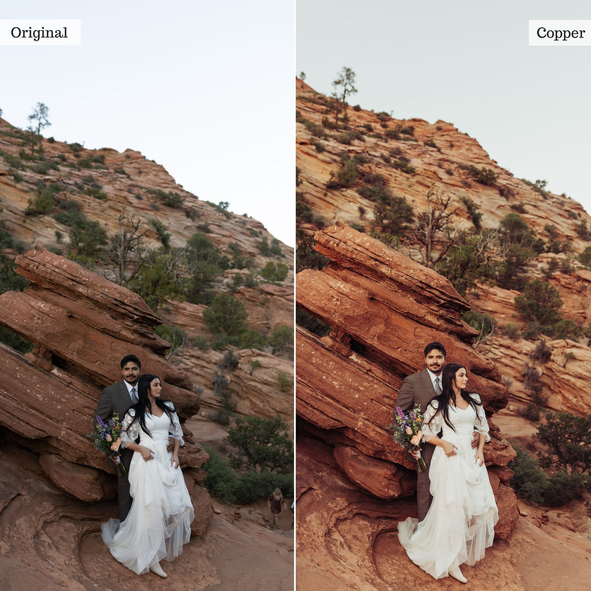 Copper - Single Color Palette Lightroom Presets & AI Tools