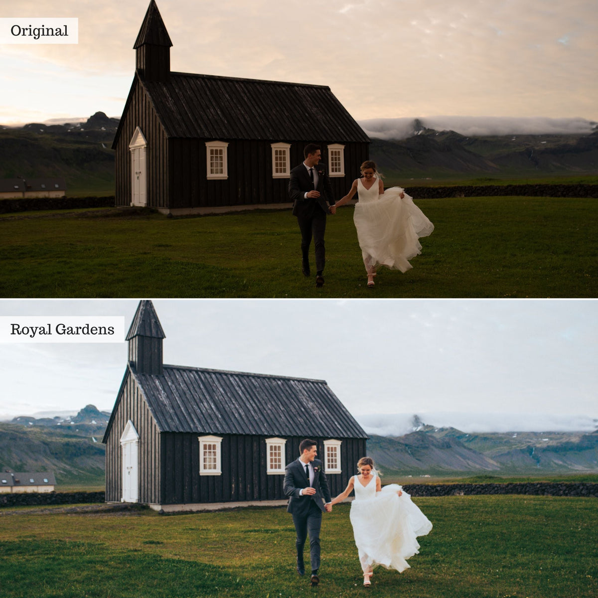 Royal Gardens - Single Color Palette Lightroom Presets & AI Tools