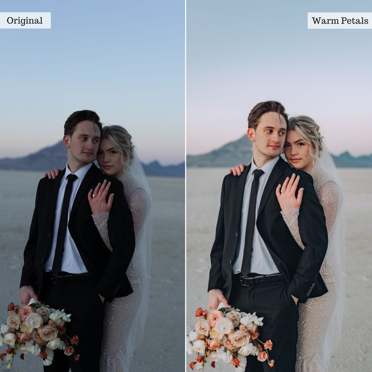 Warm Petals - Single Color Palette Lightroom Presets & AI Tools