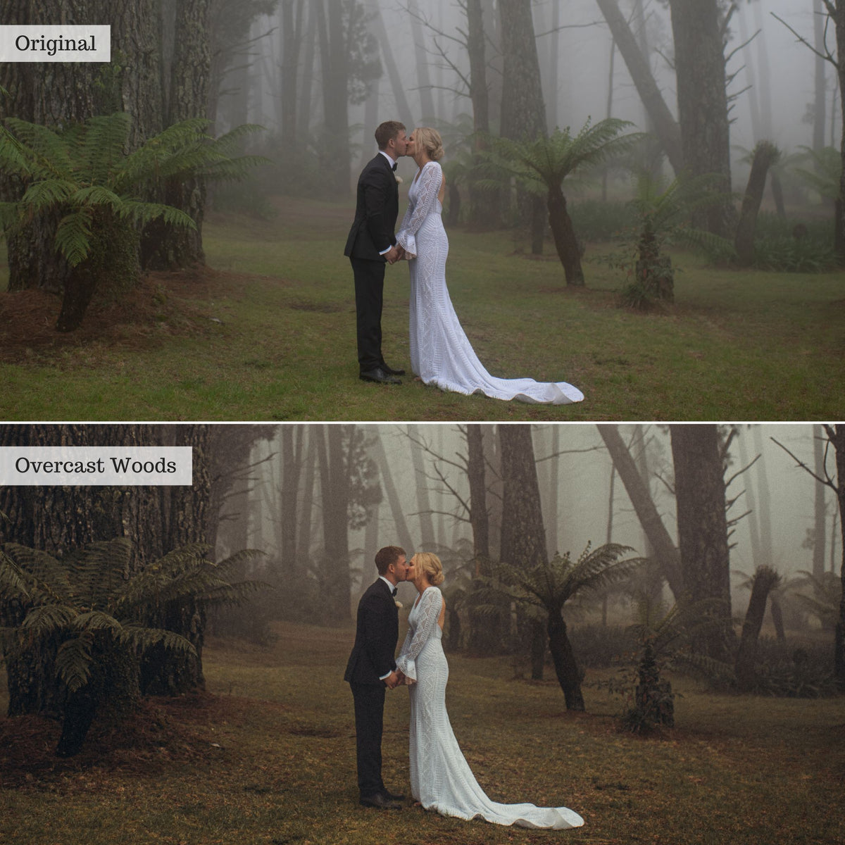 DigiFilm | Autumn Spice 2.0 Lightroom Presets & AI Tools