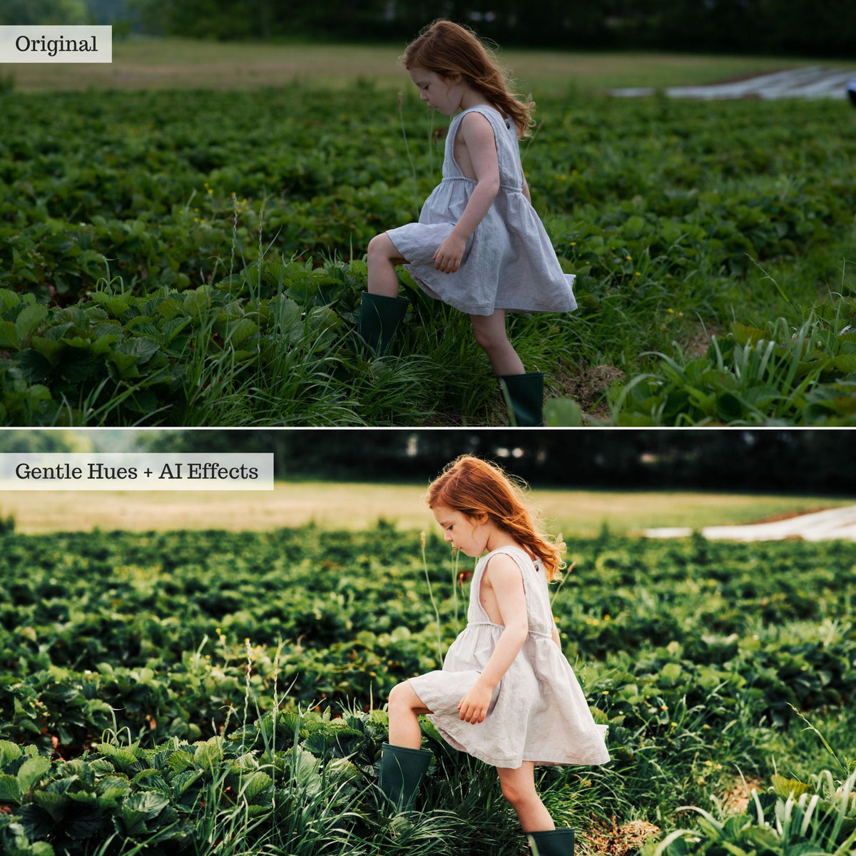 On the Farm 2.0 Lightroom Presets & AI Tools– Desktop & Mobile