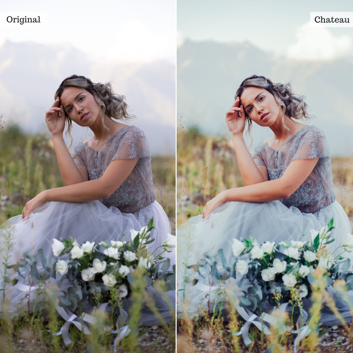 Chateau - Single Color Palette Lightroom Presets & AI Tools