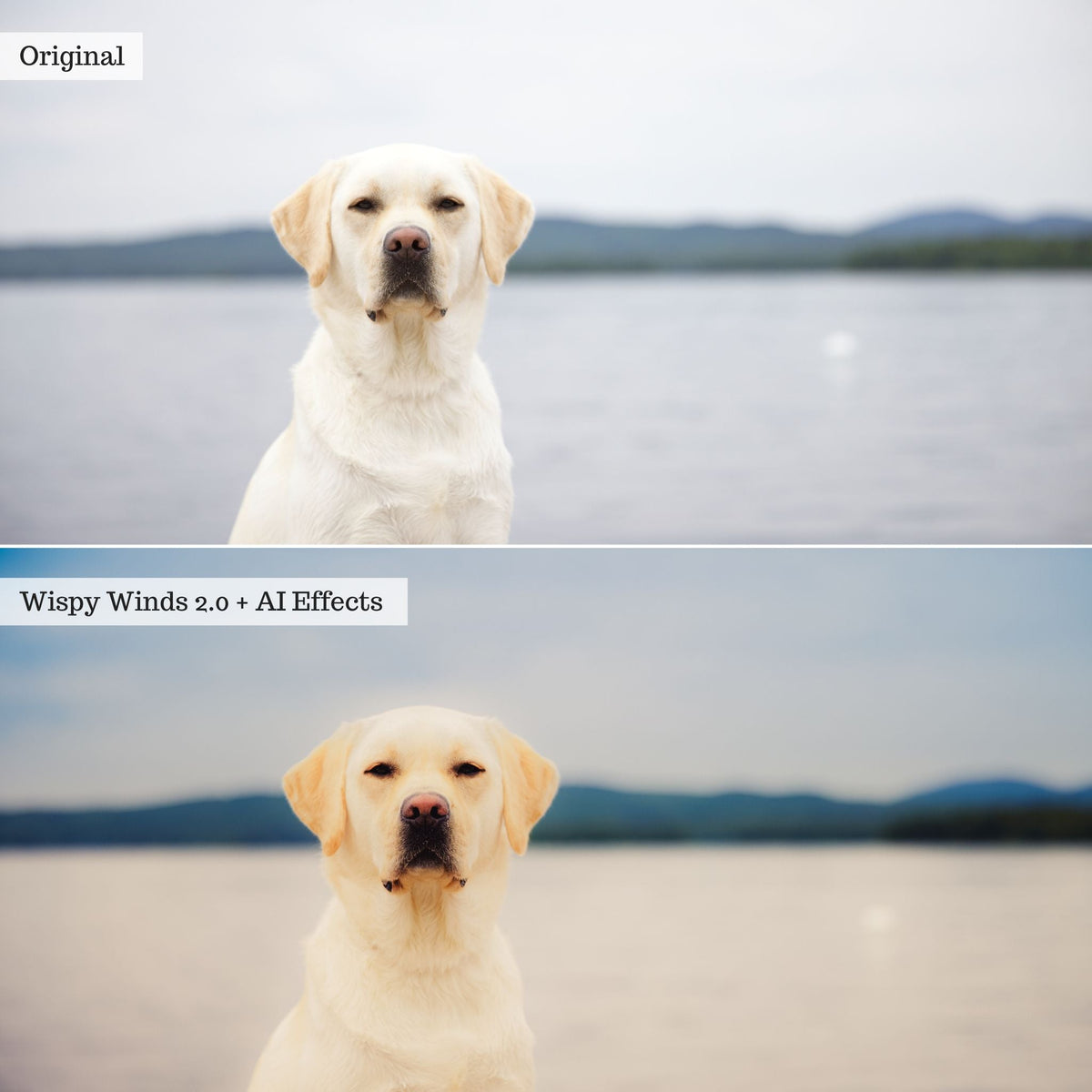 Elements - Landscapes & Wildlife 2.0 Lightroom Presets & AI Powered Tools – Desktop & Mobile