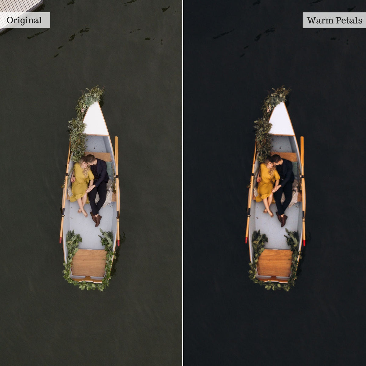 Warm Petals - Single Color Palette Lightroom Presets & AI Tools