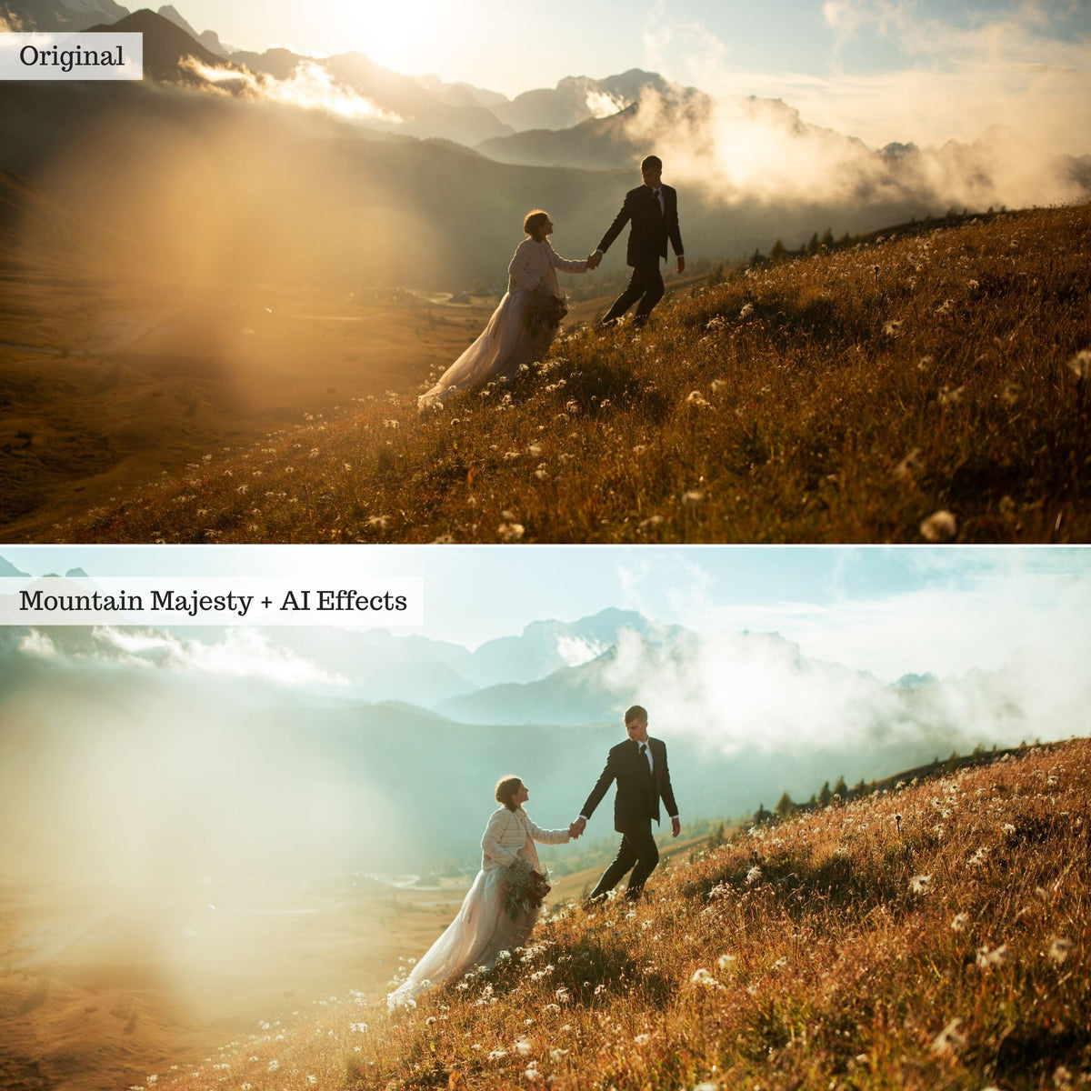 ColorMade Lightroom Preset Bundle (19 collections)