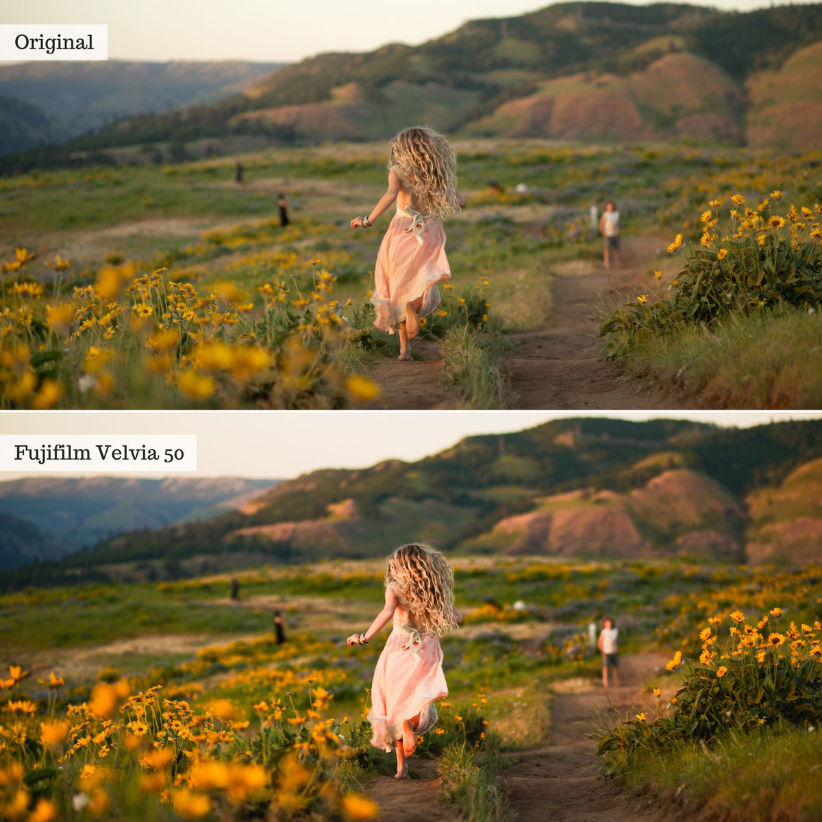 Film Essentials 2.0 Lightroom Presets – Desktop & Mobile