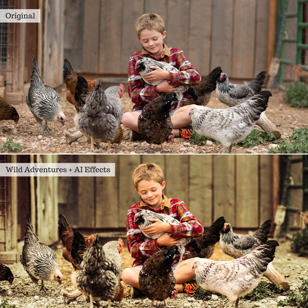On the Farm 2.0 Lightroom Presets & AI Tools– Desktop & Mobile