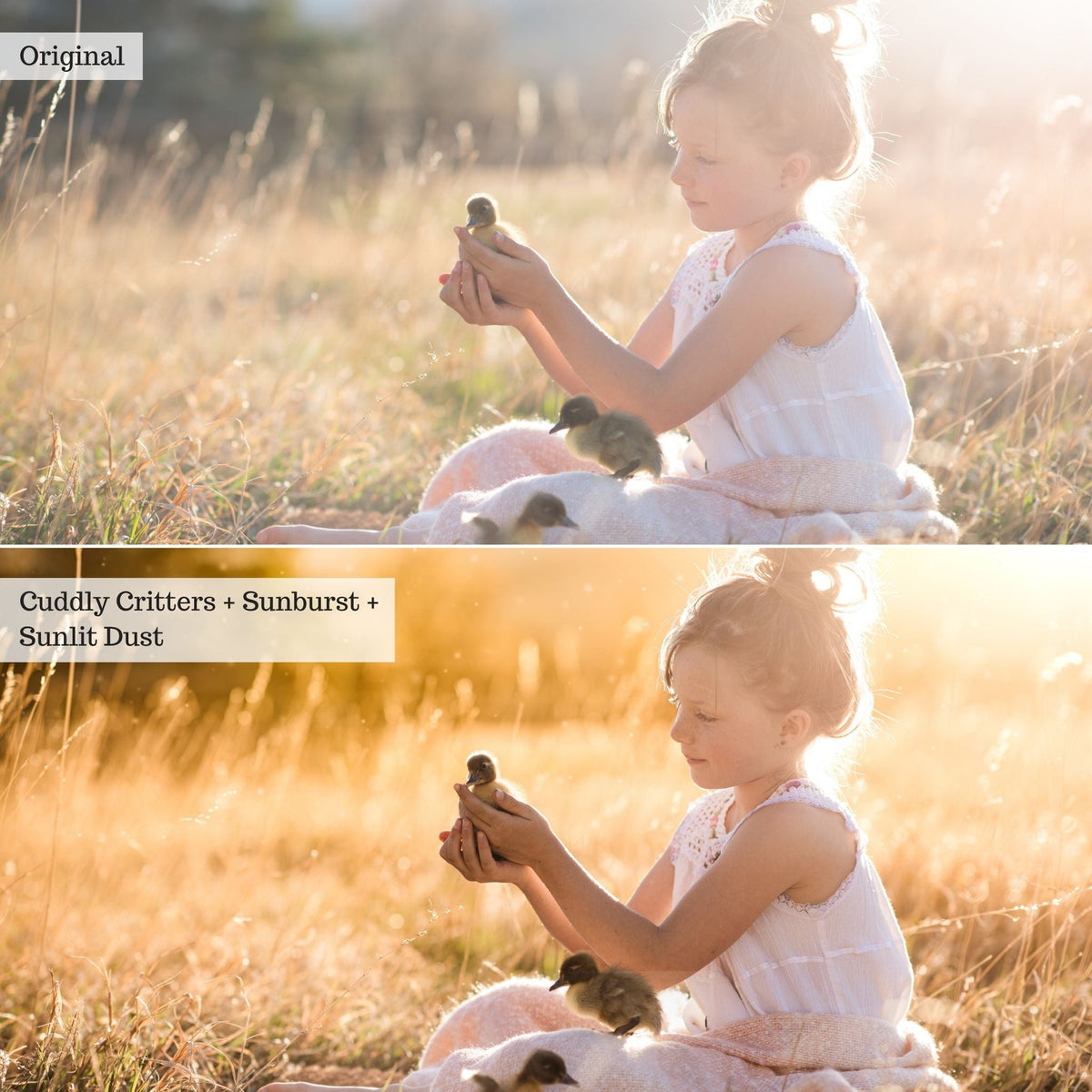 On the Farm 2.0 Lightroom Presets & AI Tools– Desktop & Mobile