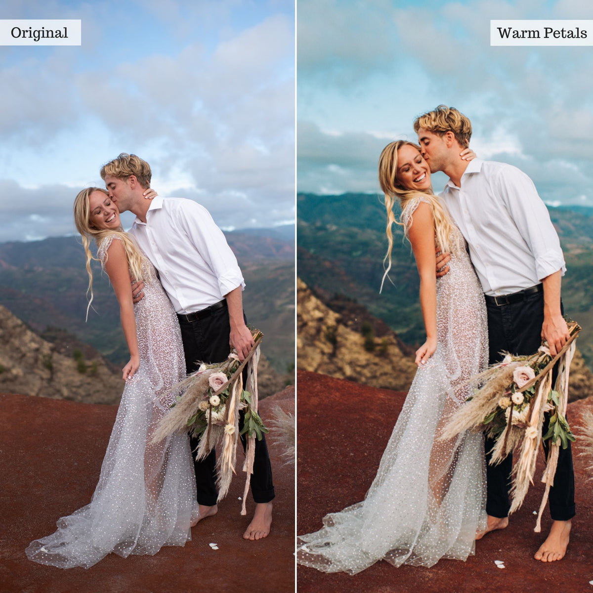 Warm Petals - Single Color Palette Lightroom Presets & AI Tools