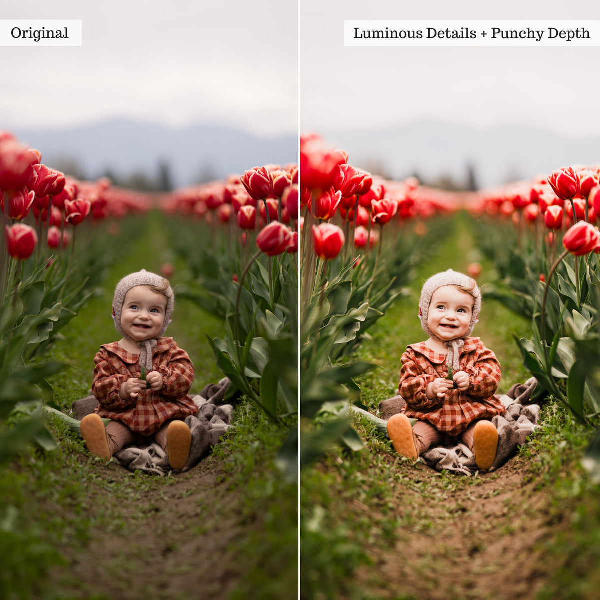 Luxe Pure Color Lightroom Presets & Profiles – Desktop & Mobile