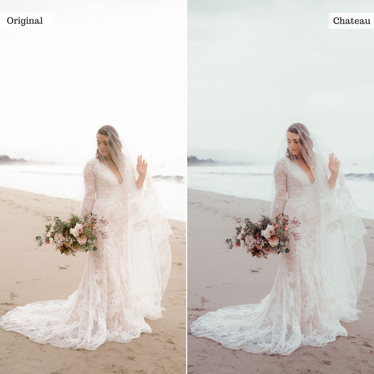 Chateau - Single Color Palette Lightroom Presets & AI Tools