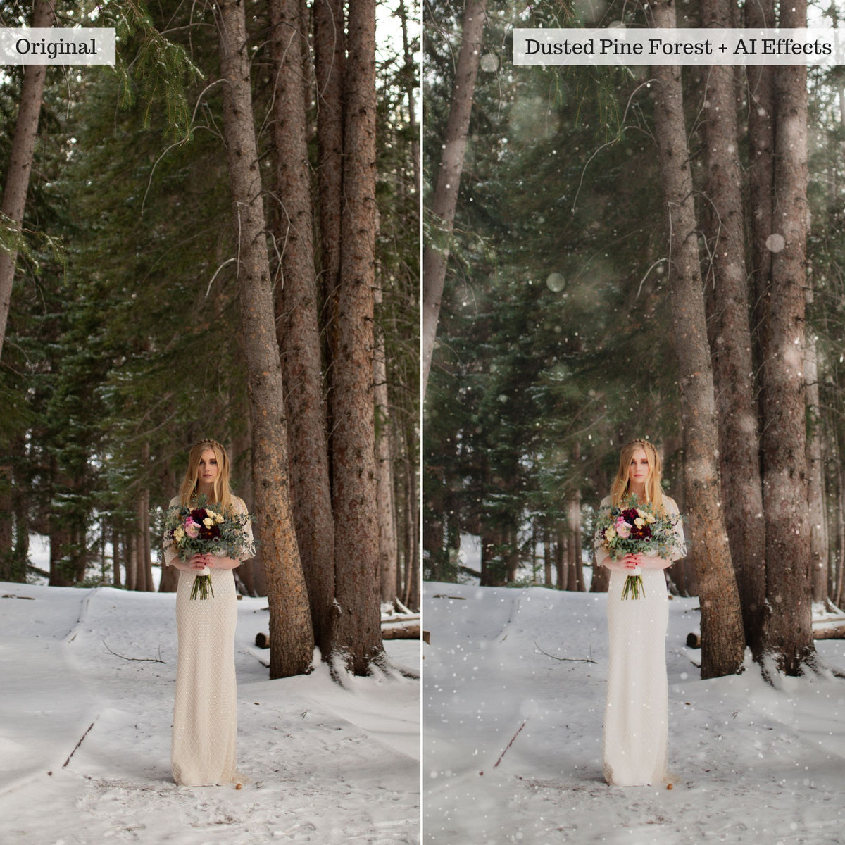 Snow Days Winter Lightroom Presets & AI Tools – Desktop & Mobile