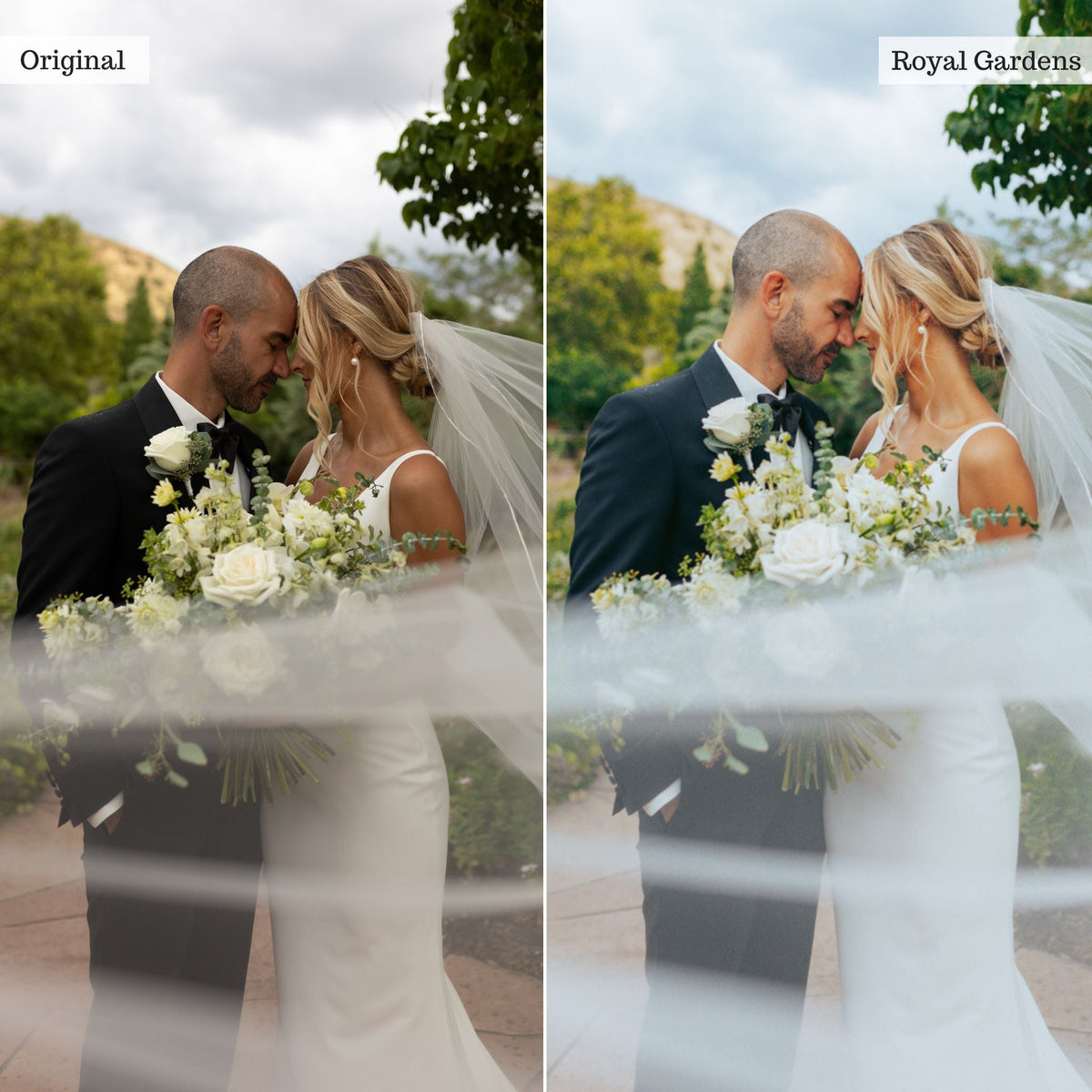 Royal Gardens - Single Color Palette Lightroom Presets & AI Tools