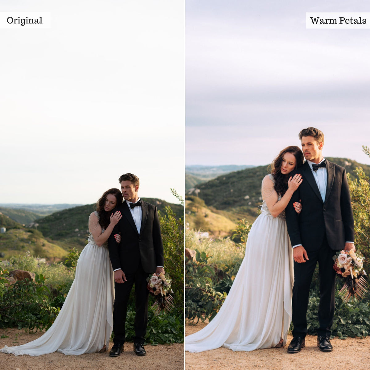 Warm Petals - Single Color Palette Lightroom Presets & AI Tools