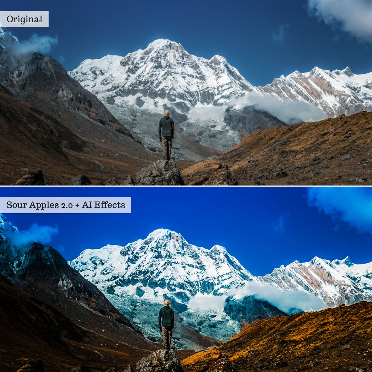 Elements - Landscapes & Wildlife 2.0 Lightroom Presets & AI Powered Tools – Desktop & Mobile