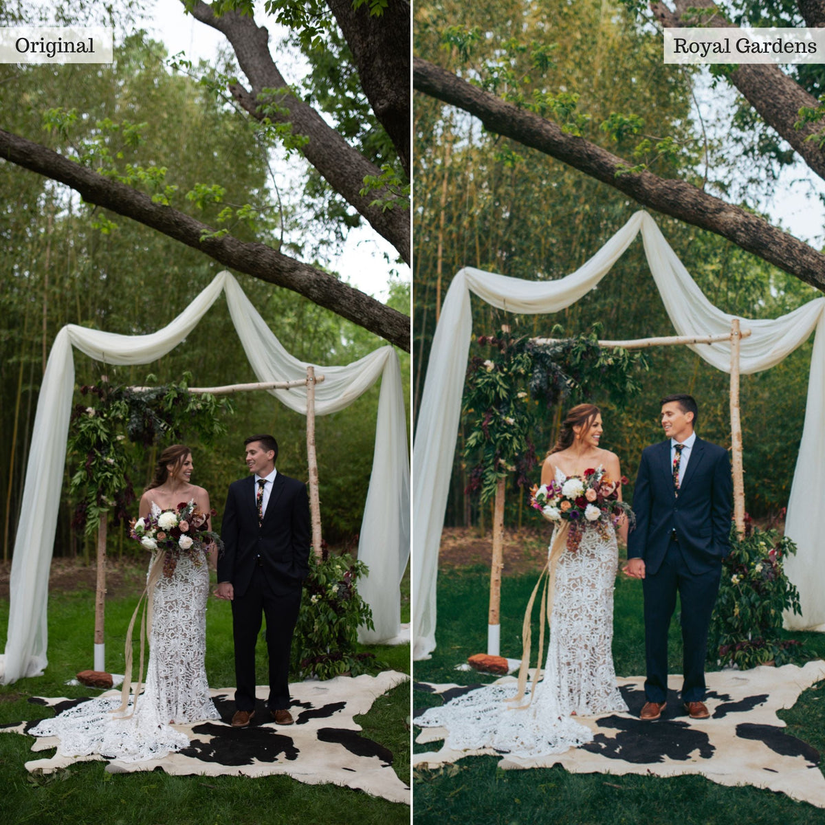 Royal Gardens - Single Color Palette Lightroom Presets & AI Tools