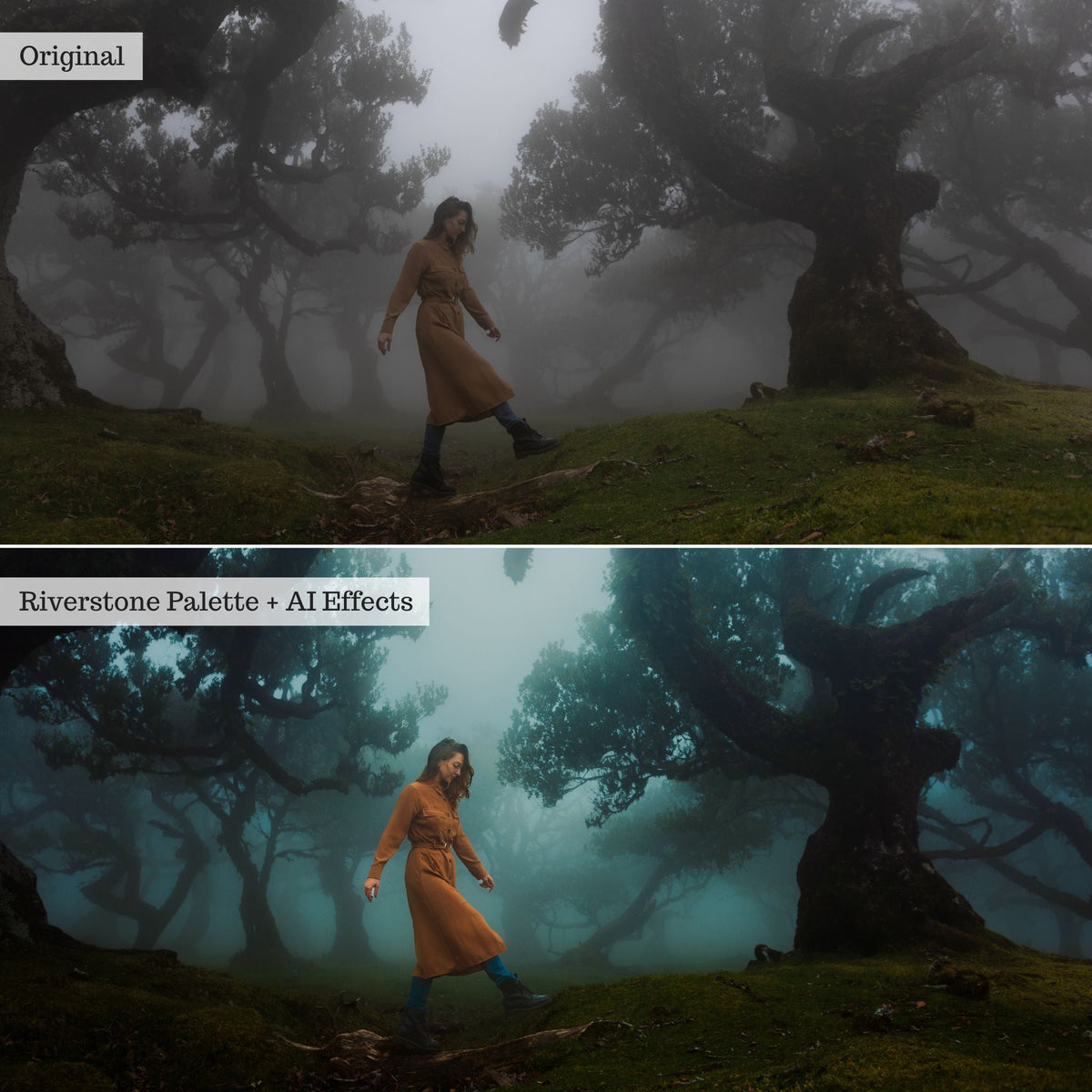 DigiFilm | Earthborn Hues 2.0 Lightroom Presets & AI Tools