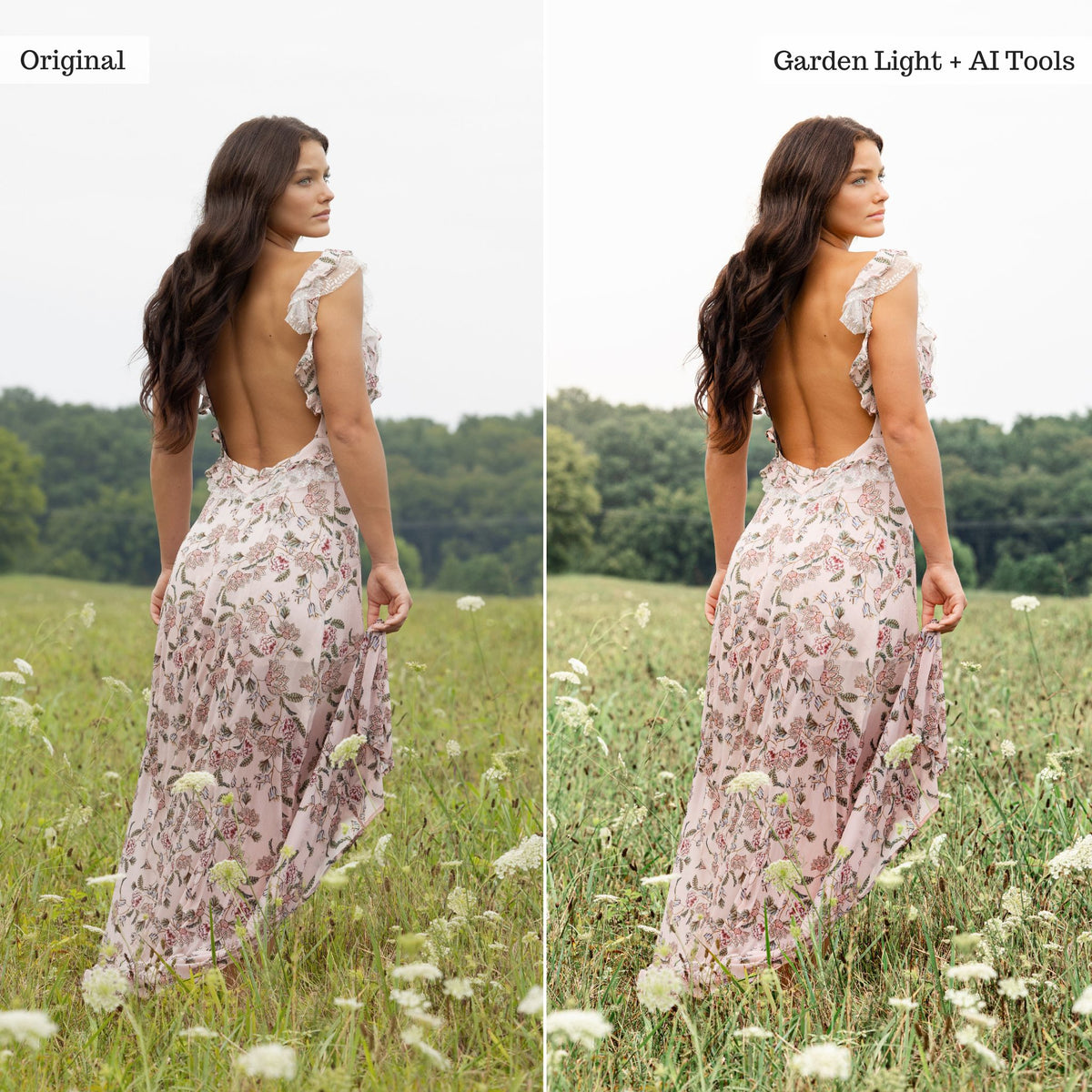 2025 Everything, Entire Store Lightroom Preset Bundle (108 Collections!)