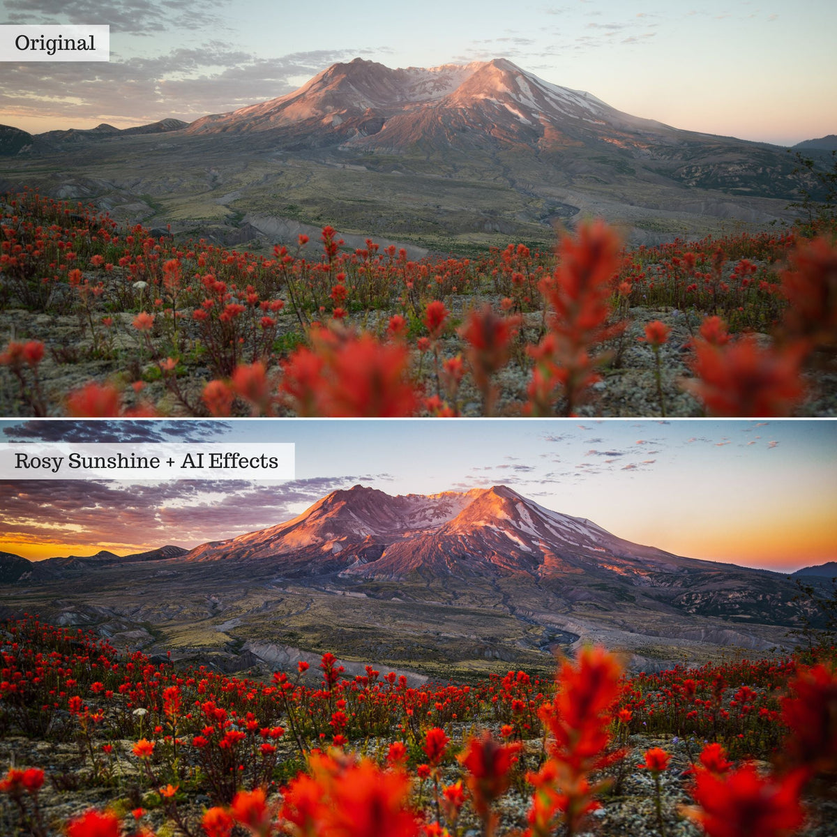 Elements - Landscapes & Wildlife 2.0 Lightroom Presets & AI Powered Tools – Desktop & Mobile