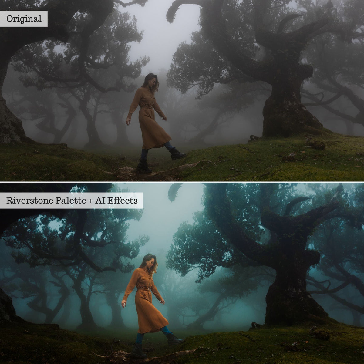 ColorMade Lightroom Preset Bundle (19 collections)