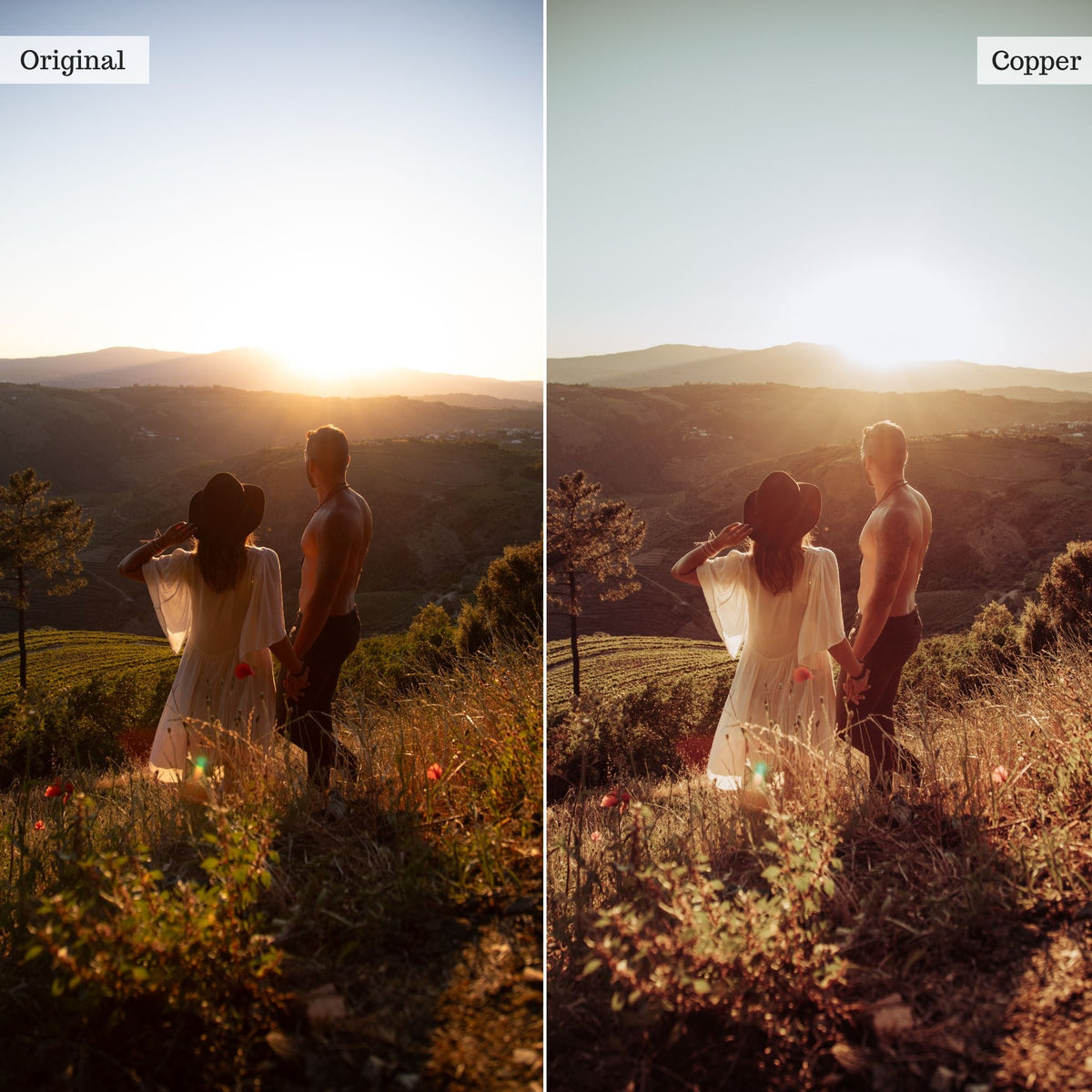 Copper - Single Color Palette Lightroom Presets & AI Tools