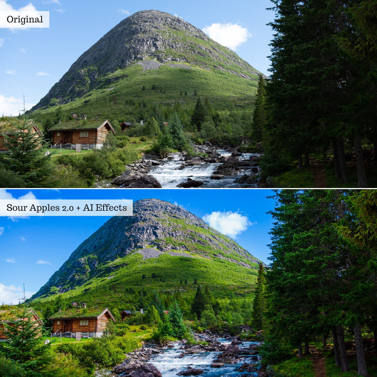 Elements - Landscapes & Wildlife 2.0 Lightroom Presets & AI Powered Tools – Desktop & Mobile