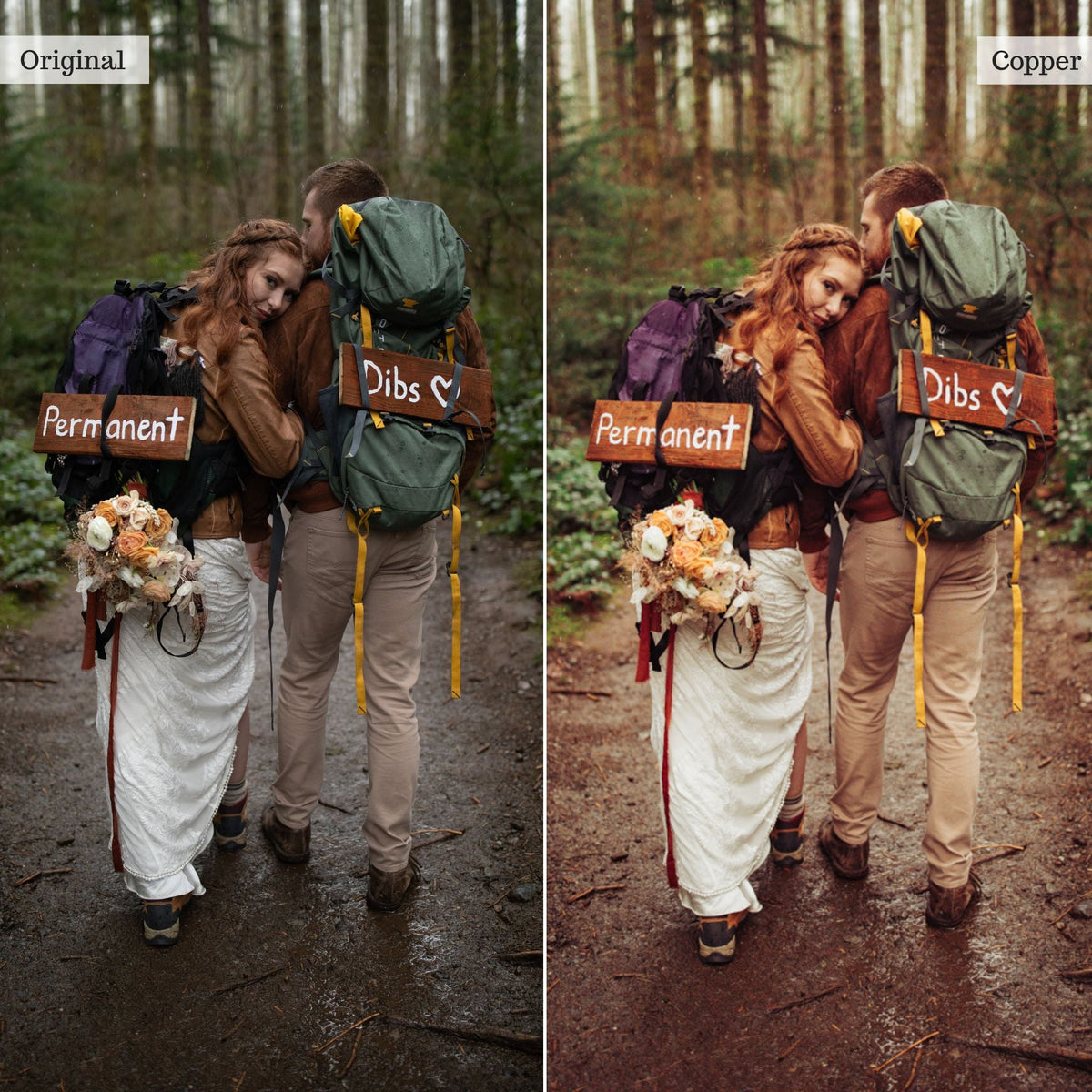 Copper - Single Color Palette Lightroom Presets & AI Tools