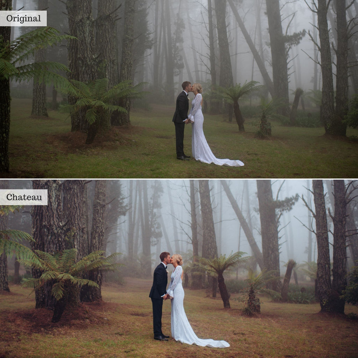 Chateau - Single Color Palette Lightroom Presets & AI Tools