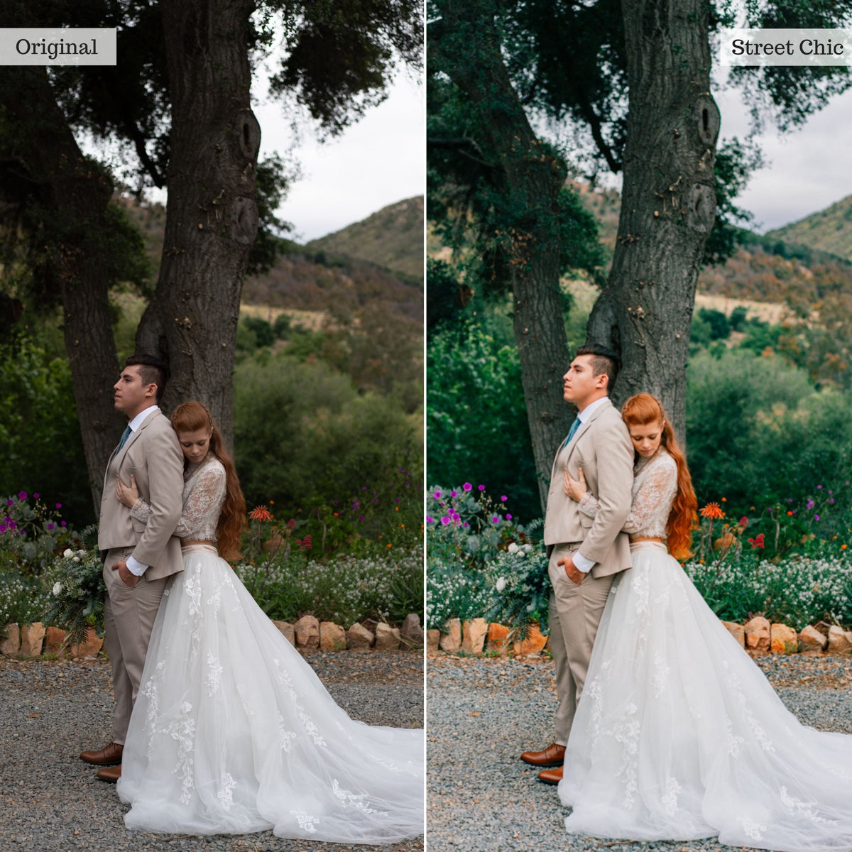 Street Chic - Single Color Palette Lightroom Presets & AI Tools