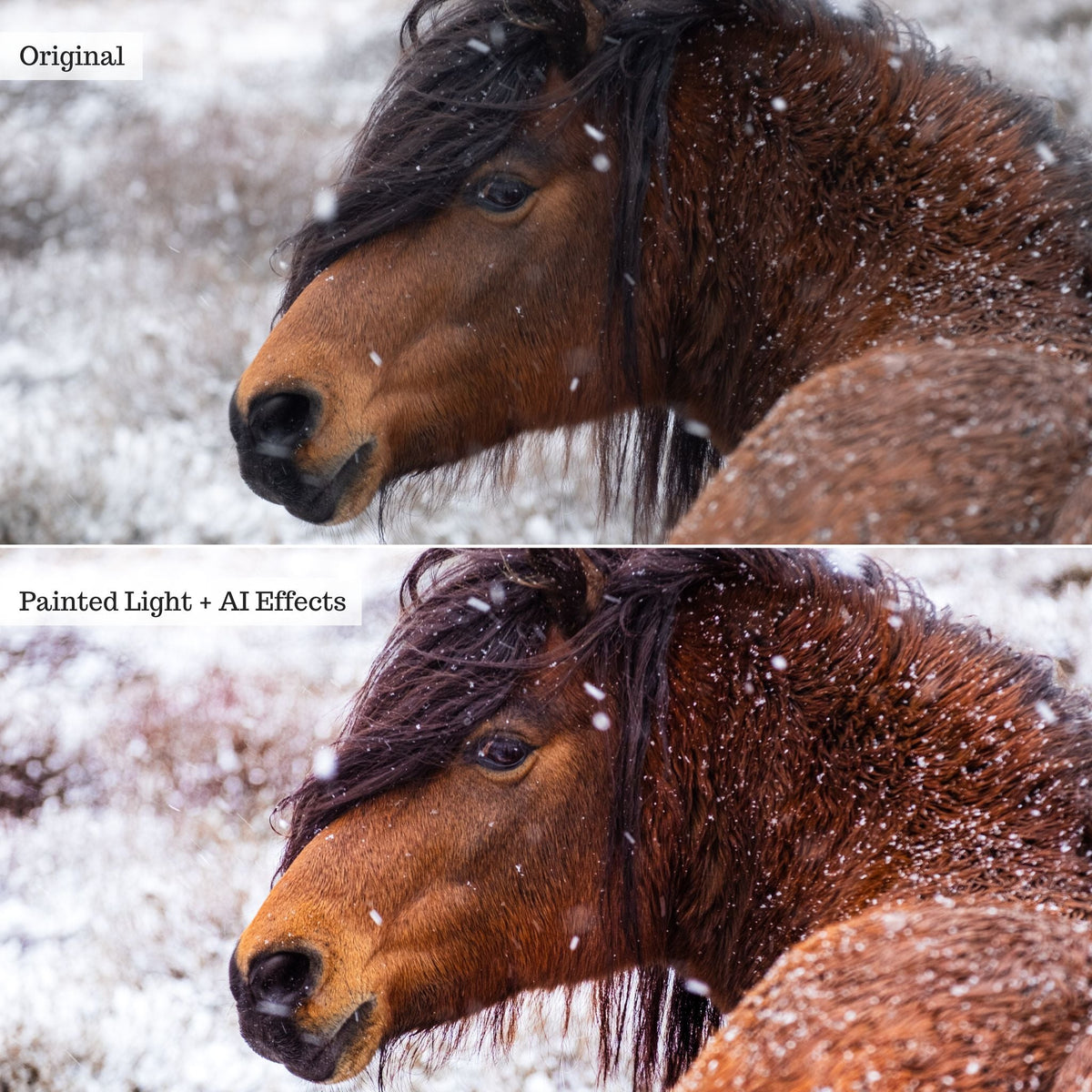 Elements - Landscapes & Wildlife 2.0 Lightroom Presets & AI Powered Tools – Desktop & Mobile