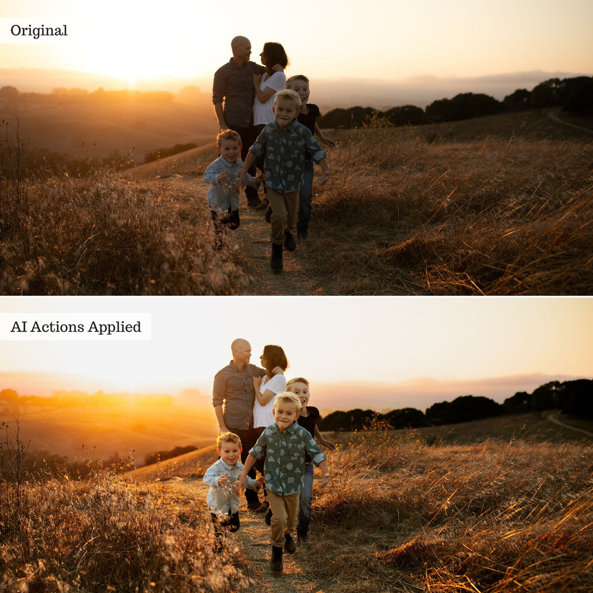 Luxe Quick Fix AI Photoshop Actions