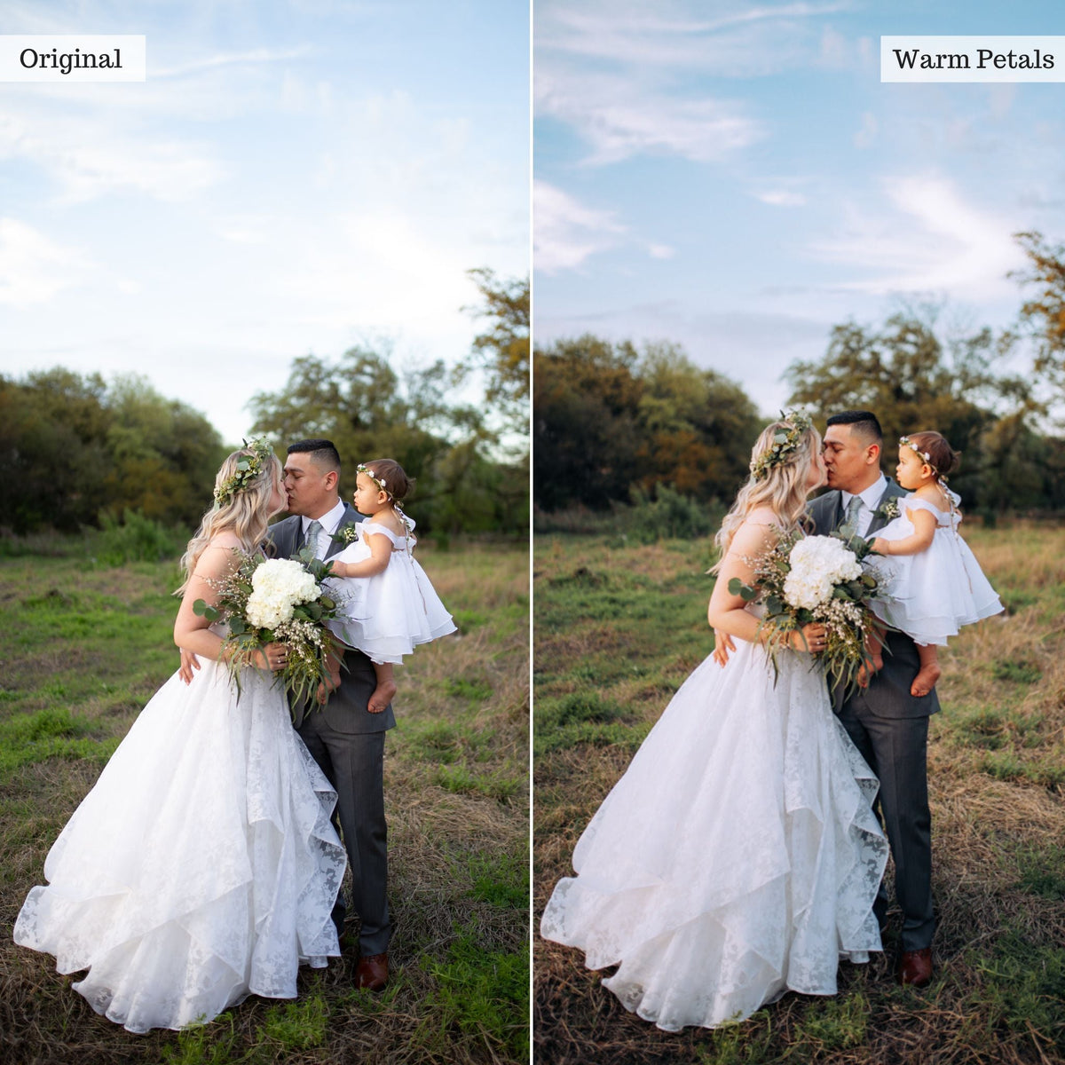 Warm Petals - Single Color Palette Lightroom Presets & AI Tools