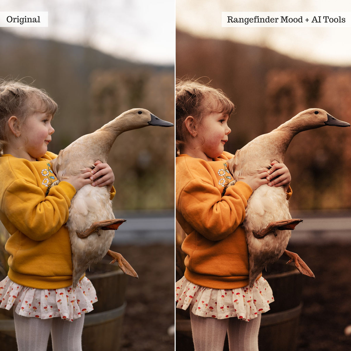 Rustic Farmhouse Lightroom Presets & AI Powered Tools – Desktop & Mobile