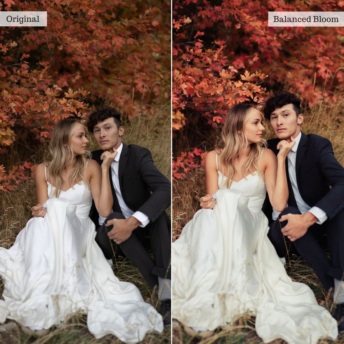 DigiFilm | Portraits 2.0 Lightroom Presets & AI Tools