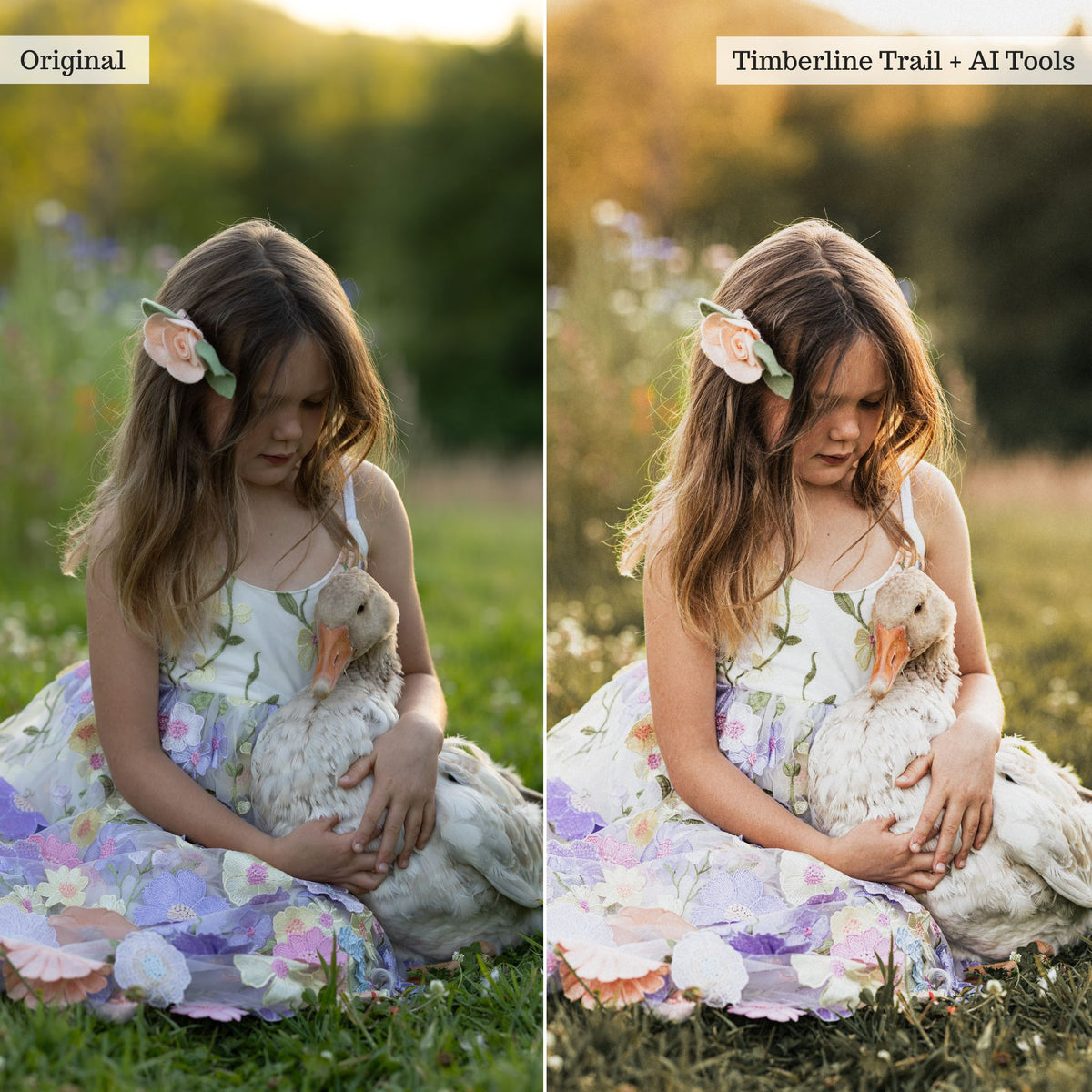 Rustic Farmhouse Lightroom Presets & AI Powered Tools – Desktop & Mobile