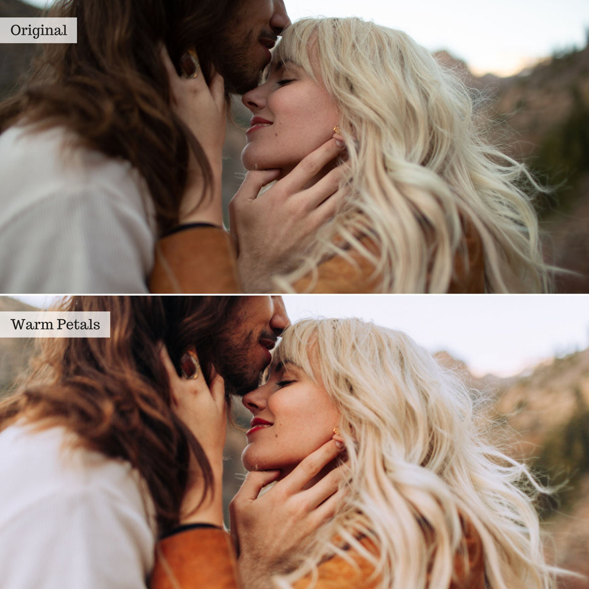 Warm Petals - Single Color Palette Lightroom Presets & AI Tools