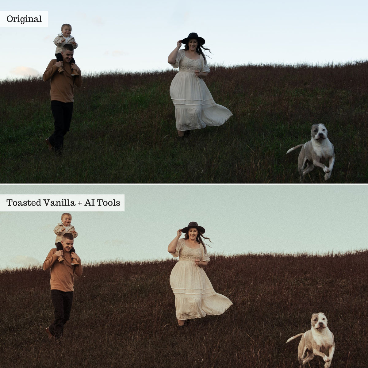 DigiFilm | Autumn Spice 2.0 Lightroom Presets & AI Tools