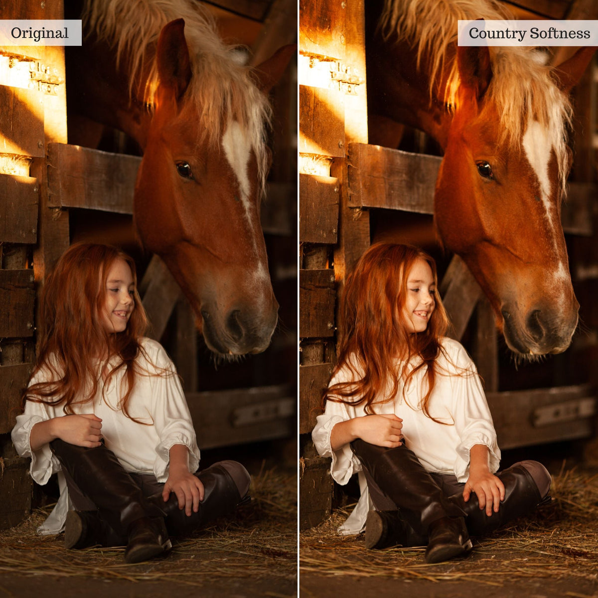On the Farm 2.0 Lightroom Presets & AI Tools– Desktop & Mobile