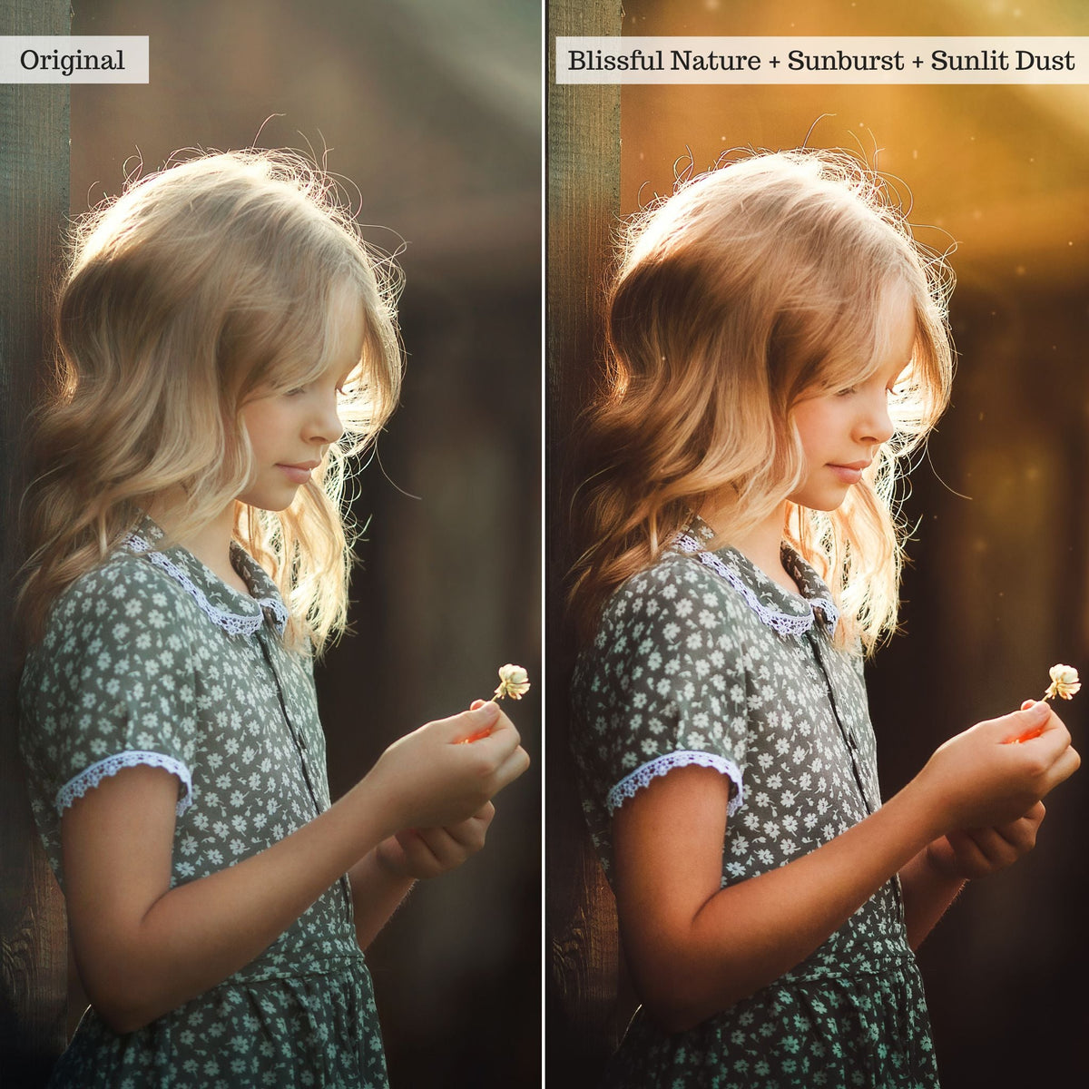 On the Farm 2.0 Lightroom Presets & AI Tools– Desktop & Mobile